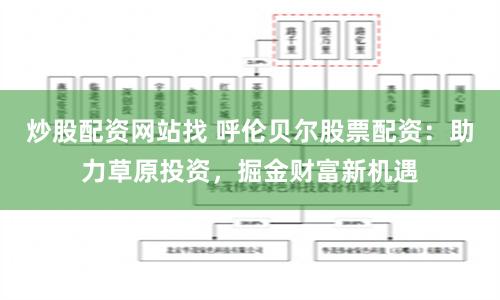 炒股配资网站找 呼伦贝尔股票配资：助力草原投资，掘金财富新机遇