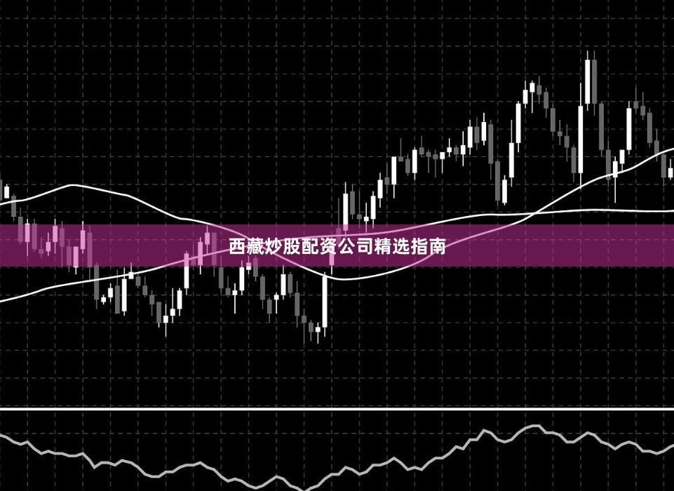 西藏炒股配资公司精选指南