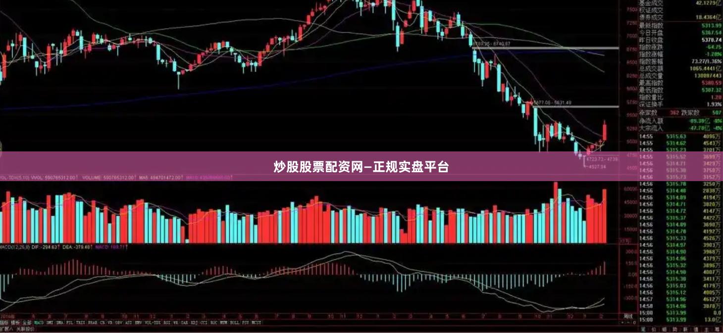 炒股股票配资网—正规实盘平台